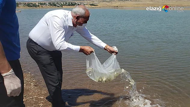 Kalecik Barajı'na 5 bin sazan yavrusu bırakıldı