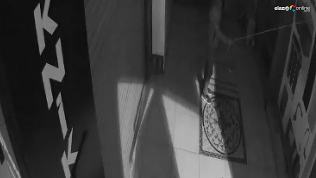 Kameralara aldırış etmeden 80 esnafın bulunduğu pasajın elektrik ve internet kablolarını çaldı