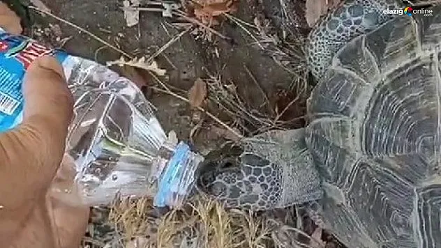 Elazığ'da iç ısıtan görüntüler!