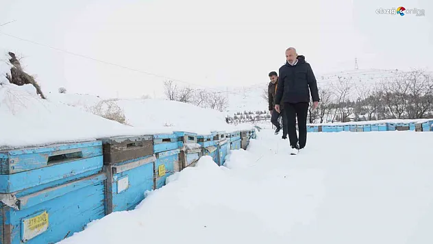 Böyle kışa can kurban! Elazığ'da kar, bal rekoltesine göz kırptı
