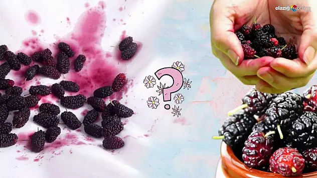 Karadut lekesi elbiseden nasıl çıkarılır? İşte uzman tavsiyeleri