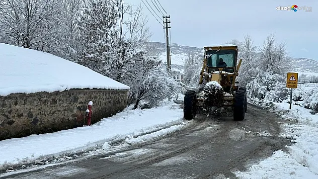 Karakoçan'da karla mücadele sürüyor