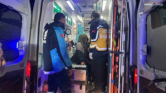 Maden'de tipi altında can pazarı: İl Özel İdaresi ve UMKE sefer oldu