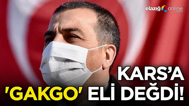 Kars'a 'Gakgo' eli değdi!
