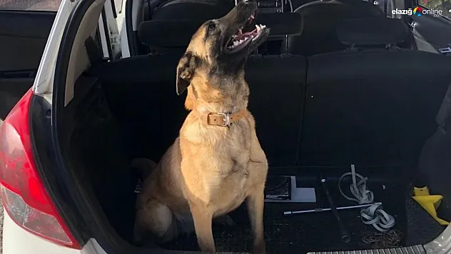 Bulana 10 bin lira ödül!