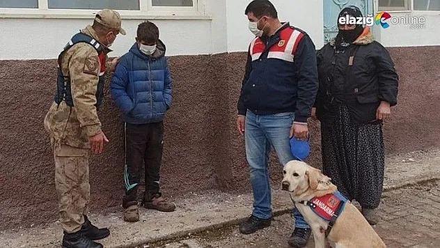 Kayıp çocuğu 6 saat sonra iz takip köpeği buldu