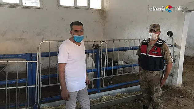 Kayıp hayvanları, jandarma 12 kilometre uzaklıkta buldu