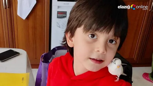 Kazada kaybolan muhabbet kuşunu Jandarma buldu