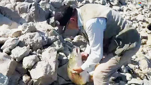Keban Baraj Gölü'nde heyecan dolu av! Elazığlı balıkçıdan gülümseten anlar