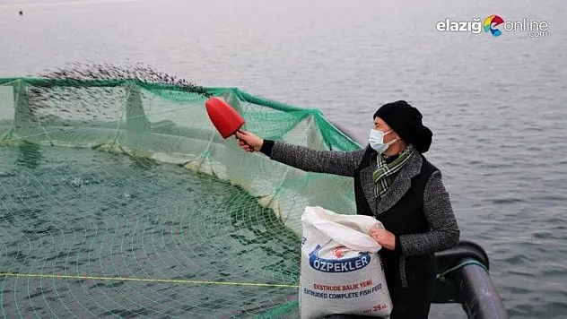 Keban Baraj Gölü'nün 'Balıkçı Annesi'
