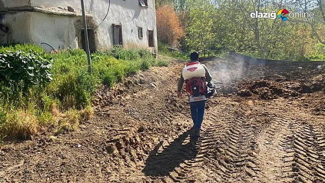 Keban Belediyesi haşere ile mücadele çalışmalarına başladı