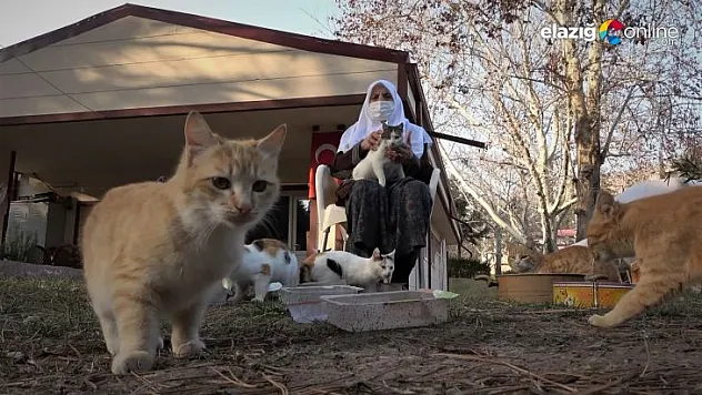 Zahide Nine, yıllardır onlara annelik yapıyor