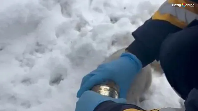 Sadece insan değil, her can onlara emanet! Sağlıkçılardan kalpleri ısıtan müdahale!