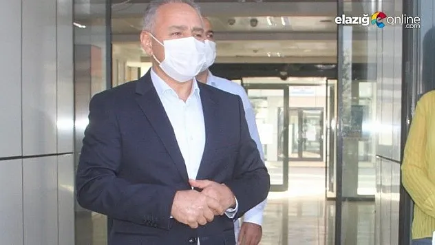 Kesilen ağaçlar ile ilgili açıklama!