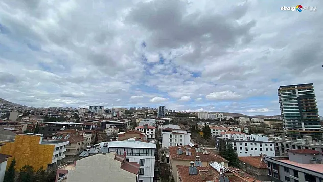 Görenler hemen cep telefonlarına sarıldı!