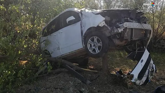 Kırdığı ağacın üzerinde asılı kaldı!