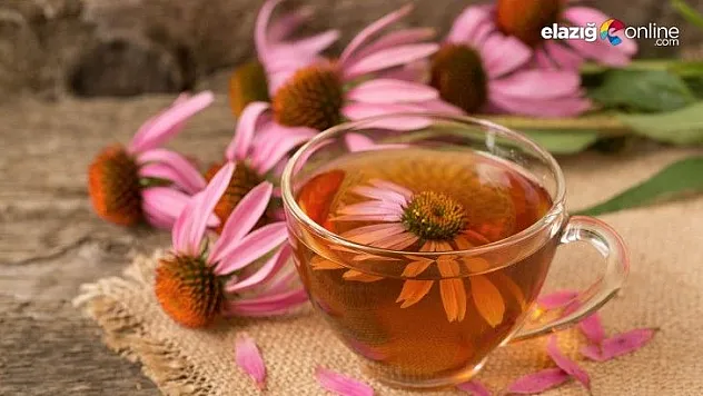 Kış aylarında mutlaka tüketin! Mikropları kırıyor, bağışıklığı güçlendiriyor