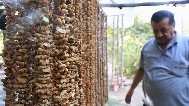 Elazığ'da orcik mesaisi başladı!