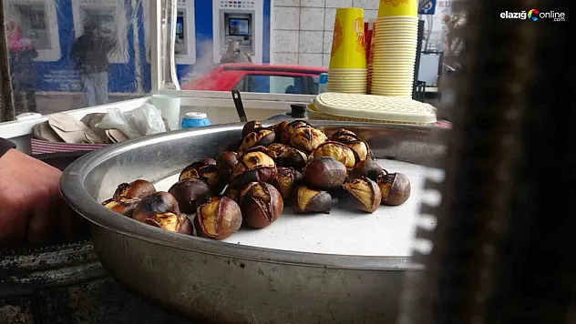 Elazığ'da Kestane Sezonu Başladı: Çiğ ve Pişmiş Kestane Fiyatları Ne Kadar?