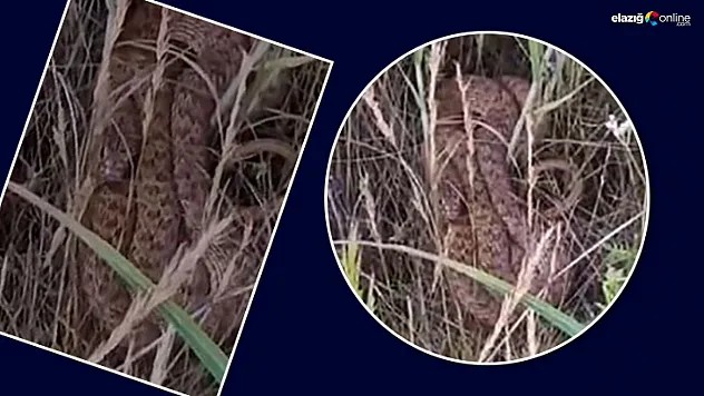 Konuşması dinleyenleri güldürdü!