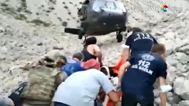 Koreli turist ayı saldırısından canını zor kurtardı