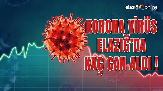 Koronavirüs'den kaç kişi öldü? İl il açıklandı