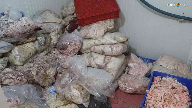 Yapılan ihbar korkunç manzarayı ortaya çıkardı!