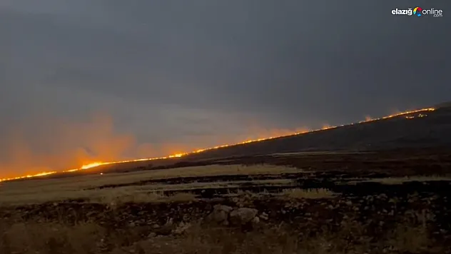 Kovancılar'da Yangın Paniği: İtfaiye ve Orman Ekipleri Müdahale Ediyor!