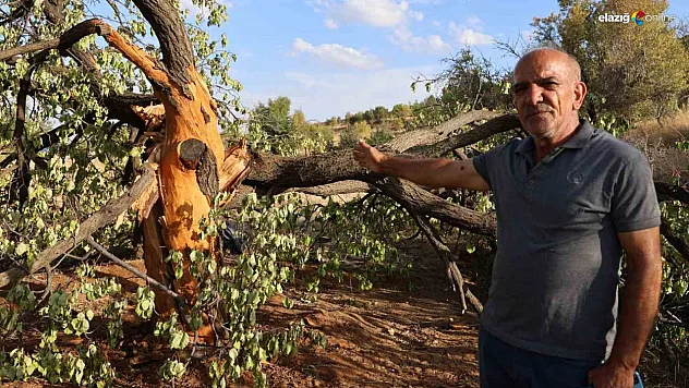 Elazığ Çalıca köyünde yıldırım korkusu! Köy halkı bölgenin araştırılmasını istiyor!