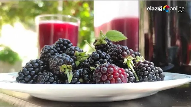 Böğürtlen meyvesini toplayarak reçelini yapıyorlar