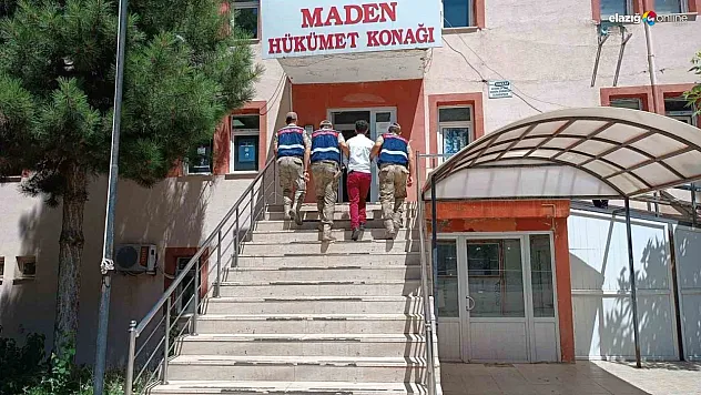 2 büyükbaş hayvanı çalan hırsız yakalandı!