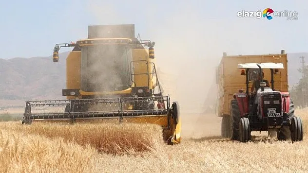 Kuraklık Vurdu, Rekolte Yüzde 70 Düştü