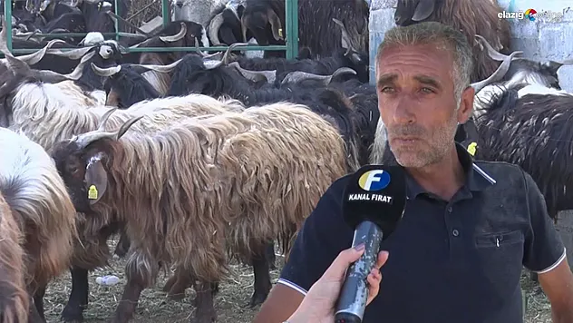 Kurban Bayramı'nda Elazığ'da kurbanlık satışları nasıl geçti?