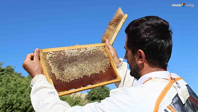 Elazığ'da bal üretiminde büyük düşüş: İklim değişikliği arıcılığı tehdit ediyor!