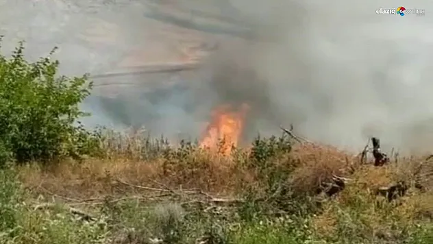 Çıkan kıvılcımlar yangına neden oldu