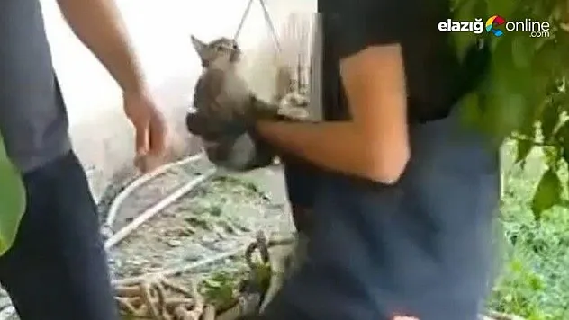 Kuyuya düşen yavru kedi kurtarıldı