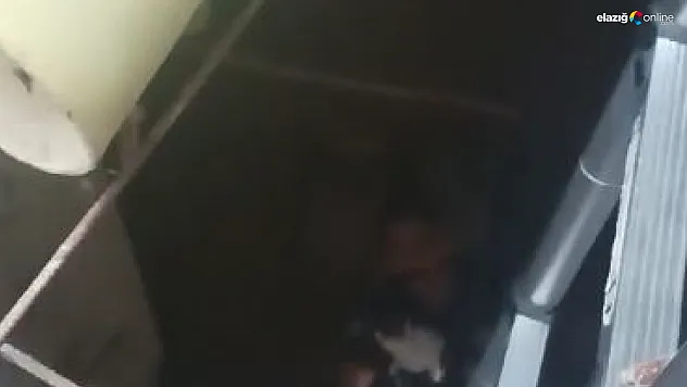 Yavru kedinin imdadına itfaiye ekipleri yetişti