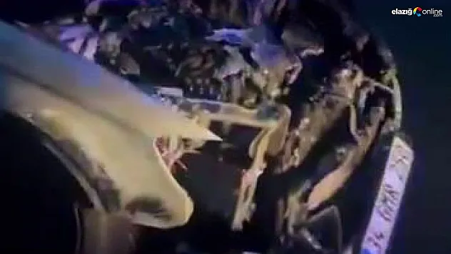 Lüks araç alevlere teslim oldu