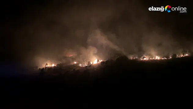 Maden'e bağlı Albayrak Köyü'nde anız yangını meydana geldi