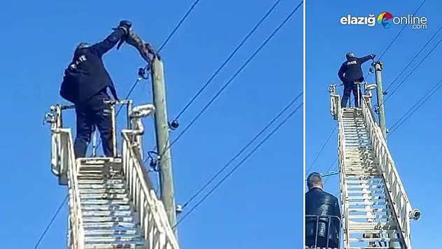 Mahsur kalan kedinin imdadına itfaiye ekipleri yetişti