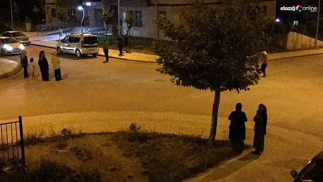 Malatya'daki deprem Elazığ'da da hissedildi