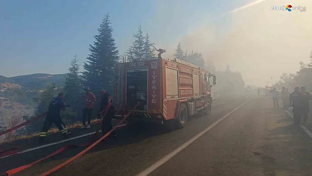 Malatya'daki orman yangınına havadan ve karadan müdahale sürüyor
