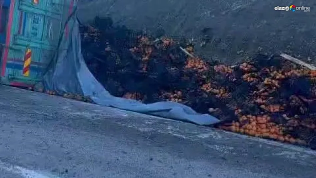 Elazığ'da meyve yüklü kamyon yan yattı
