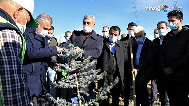 Memur-Sen üyeleri binlerce fidanı toprakla buluşturdu