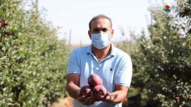 Memurluğu bıraktı, modern tarımla kendi işinin patronu oldu