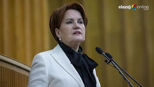 Meral Akşener'den Osmangazi Köprüsü paylaşımı: Şimdi bu hak mı?