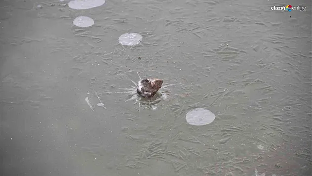 Meteorolojiden buzlanma ve don uyarısı