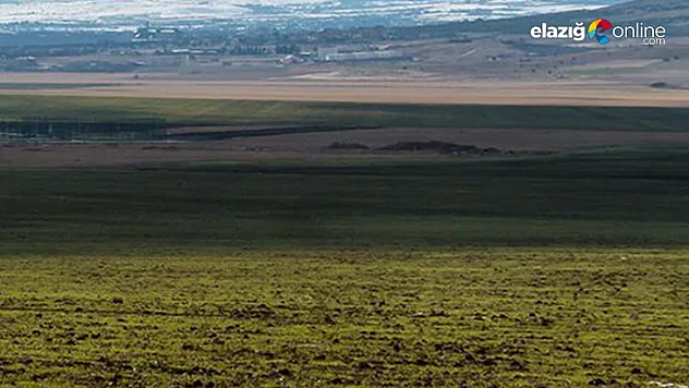 Milli Emlak Ne Yapmaya Çalışıyor?