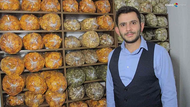 Mühendisliği bıraktı, Elazığ'da bir ilki başardı: Meyve kurusu siparişlerine yetişmeye çalışıyor