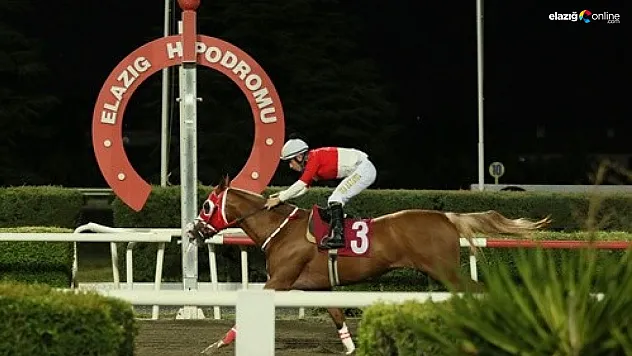 Oğlum Kayra isimli safkan Mustafa Ergin Koşusu'nu kazandı